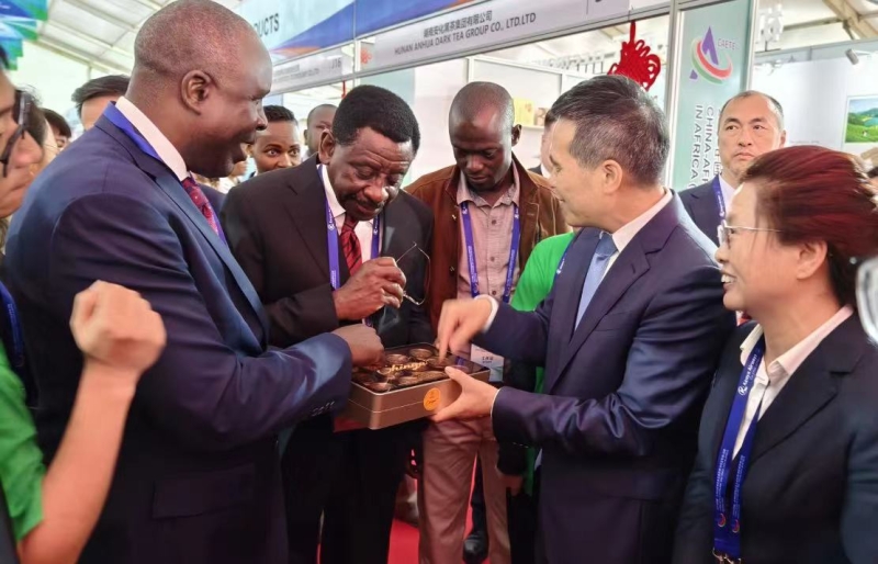 益陽(yáng)黑茶香飄非洲 2024中非經(jīng)貿(mào)博覽會(huì)上的經(jīng)貿(mào)橋梁
